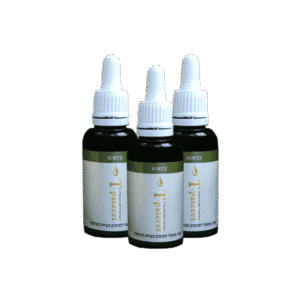 שלישיית T-pateret Forte